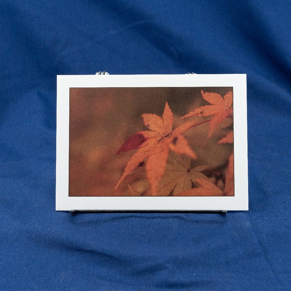 Art Print Fall Leaves, 5x7 Ready to Frame Print on Mat Stock
